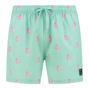 Flamingo, Groen, Heren zwembroek